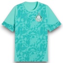 Camiseta Palmeiras 2026-2027 Entrenamiento
