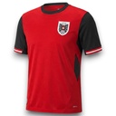 Camiseta Austria 2026 Local