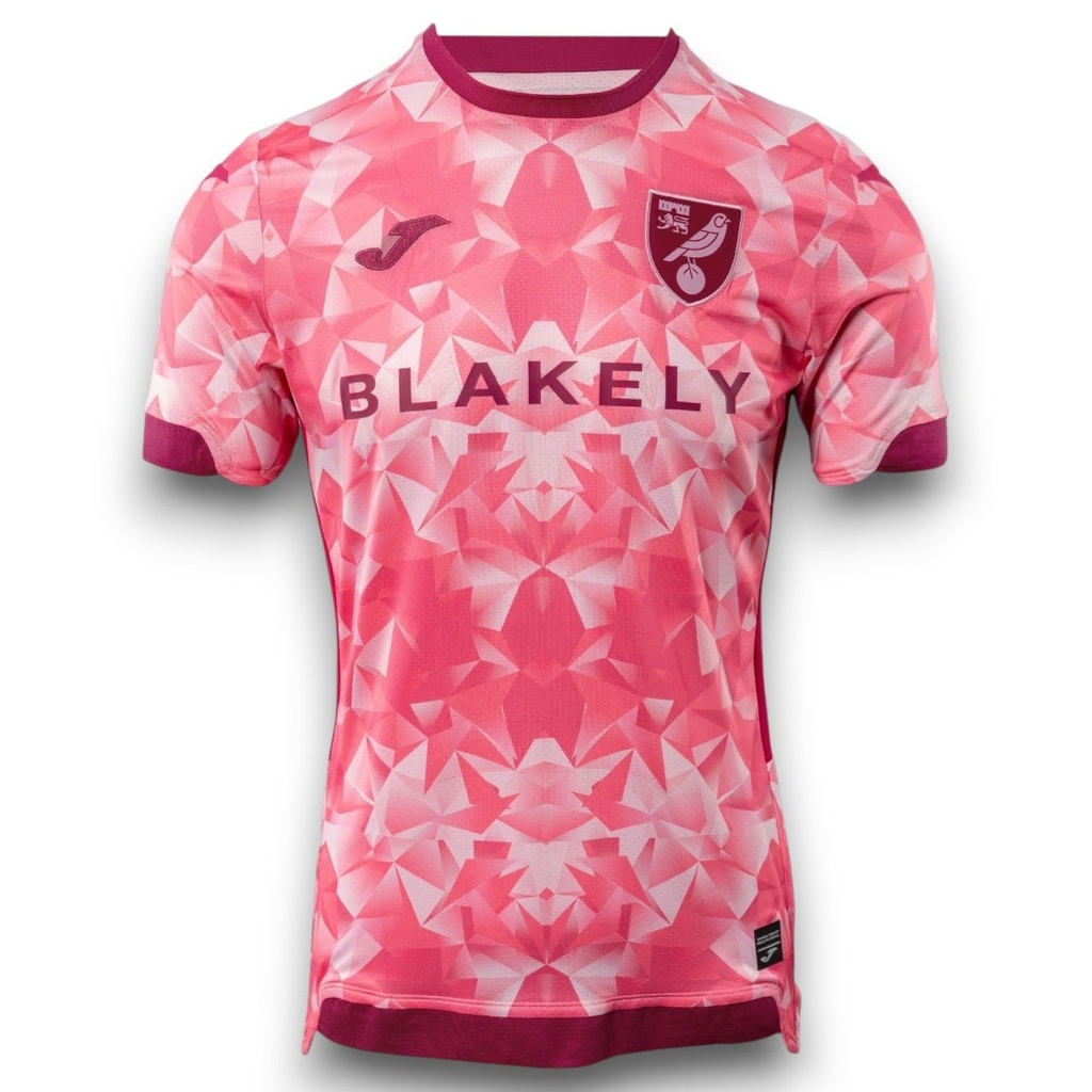 Camiseta Norwich City 2025-2026 Alternativa