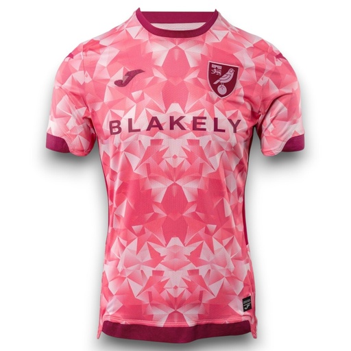 Camiseta Norwich City 2025-2026 Alternativa